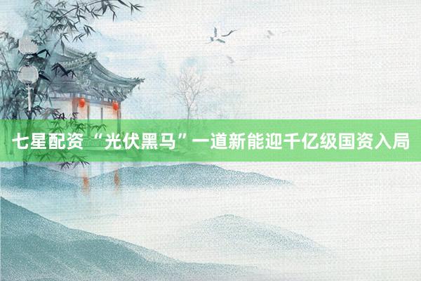 七星配资 “光伏黑马”一道新能迎千亿级国资入局