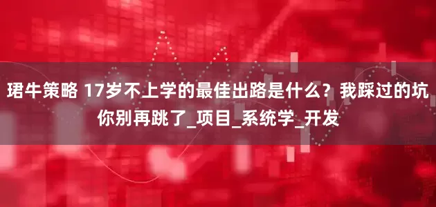珺牛策略 17岁不上学的最佳出路是什么？我踩过的坑你别再跳了_项目_系统学_开发
