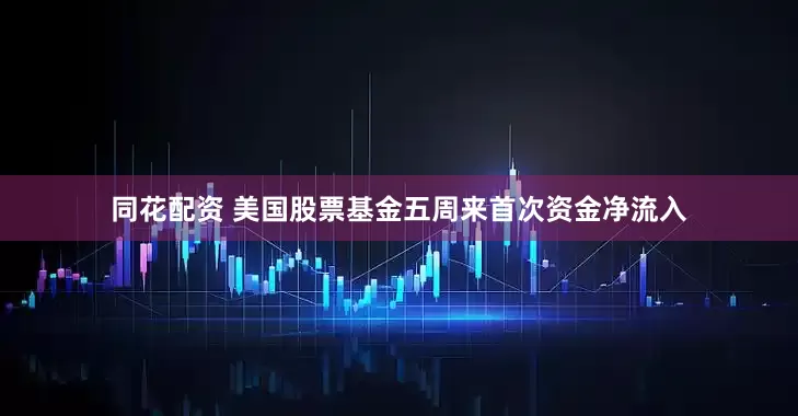 同花配资 美国股票基金五周来首次资金净流入